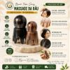 Bạch Tuộc Sừng Massage Da Đầu Tự Nhiên-Dụng Cụ Day Ấn Thư Giãn,Hỗ Trợ Lưu Thông Khí Huyết,Giảm Căng Thẳng,Dưỡng Sinh