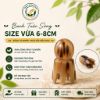 Bạch Tuộc Sừng Massage Da Đầu Tự Nhiên-Dụng Cụ Day Ấn Thư Giãn,Hỗ Trợ Lưu Thông Khí Huyết,Giảm Căng Thẳng,Dưỡng Sinh