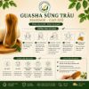 GUASHA SỪNG MASSAGE CẠO GIÓ DƯỠNG SINH ĐÔNG Y,NÂNG CƠ THON GỌN MẶT,LÀM ĐẸP TẠI NHÀ
