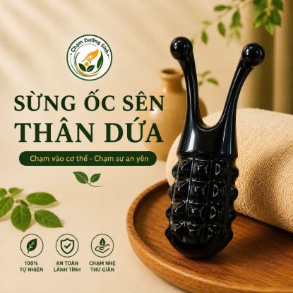 DỤNG CỤ MASSAGE VÀ ẤN HUYỆT CẦM TAY SỪNG ỐC SÊN THÂN DỨA,THON GỌN MŨI, NÂNG CƠ MẶT
