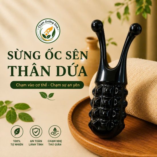 DỤNG CỤ MASSAGE VÀ ẤN HUYỆT CẦM TAY SỪNG ỐC SÊN THÂN DỨA,THON GỌN MŨI, NÂNG CƠ MẶT