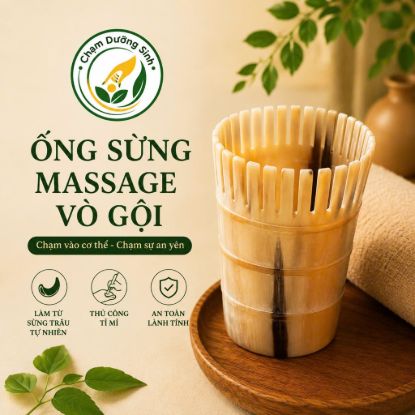 ỐNG SỪNG MASSAGE VÒ GỘI GIẢM ĐAU ĐẦU LƯU THÔNG KHÍ HUYẾT DƯỠNG SINH ĐÔNG Y